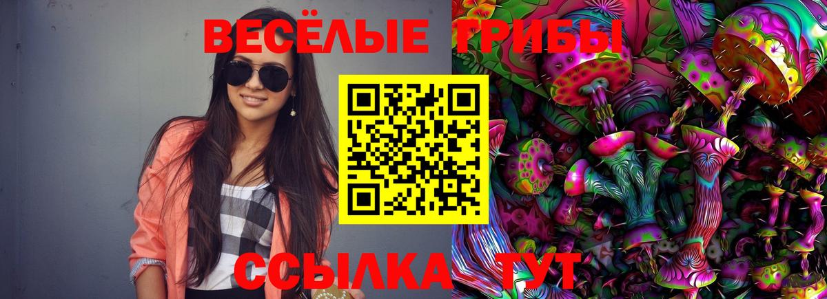 Галлюциногенные грибы Psilocybine cubensis  Вход с VPN  Трёхгорный 